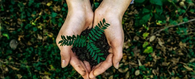 Foto von Noah Buschner