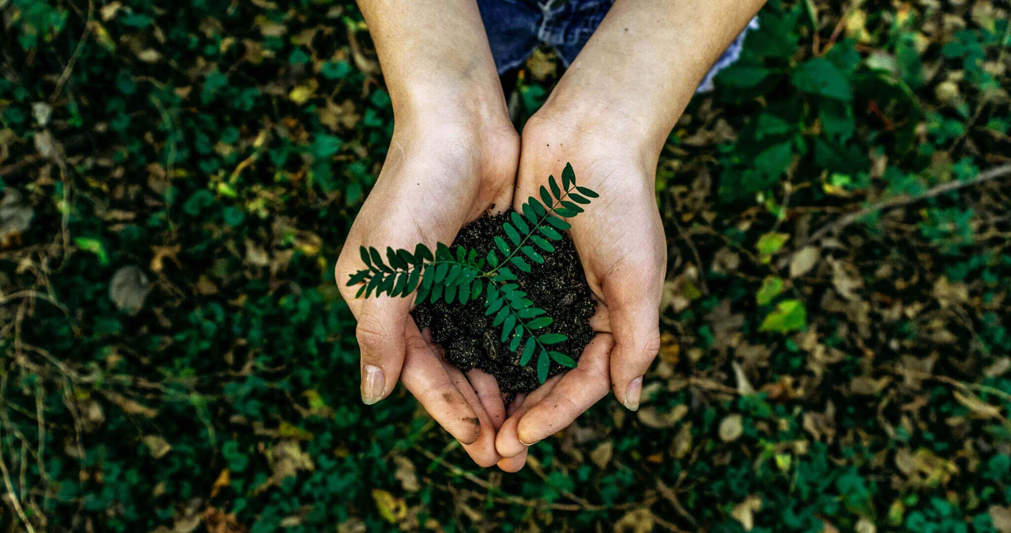 Foto von Noah Buschner